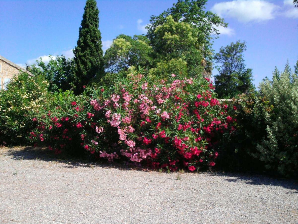 Villa Aigues Vives Boutenac Exterior photo